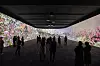 A viewing room created anew last month at the National Museum of Korea in central Seoul as part of its immersive digital gallery project. [NATIONAL MUSEUM OF KOREA]