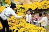 Children look at flowers at a festival in Inje County, Gangwon, on Oct. 16. [INJE COUNTY OFFICE]